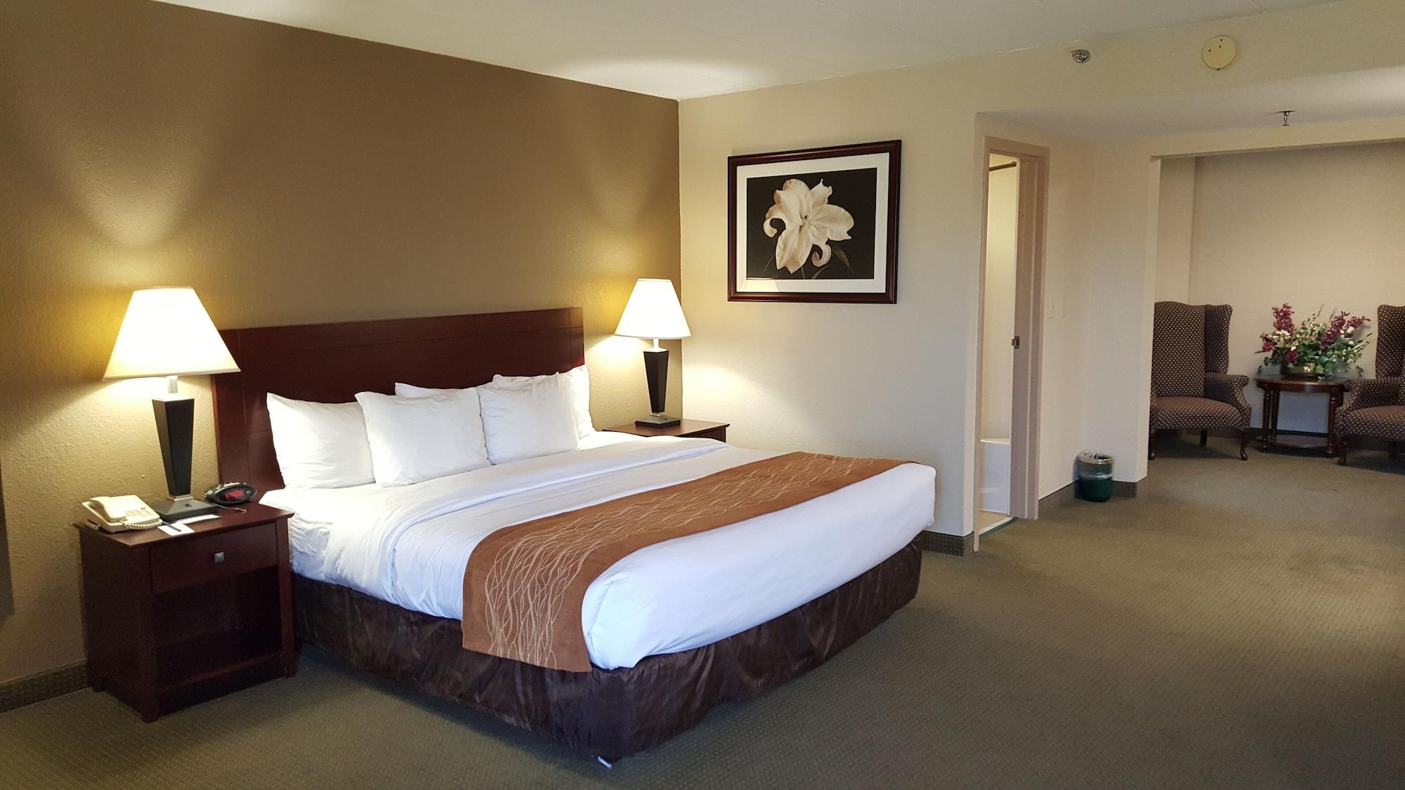 Comfort Inn Northeast Мейсон Екстер'єр фото