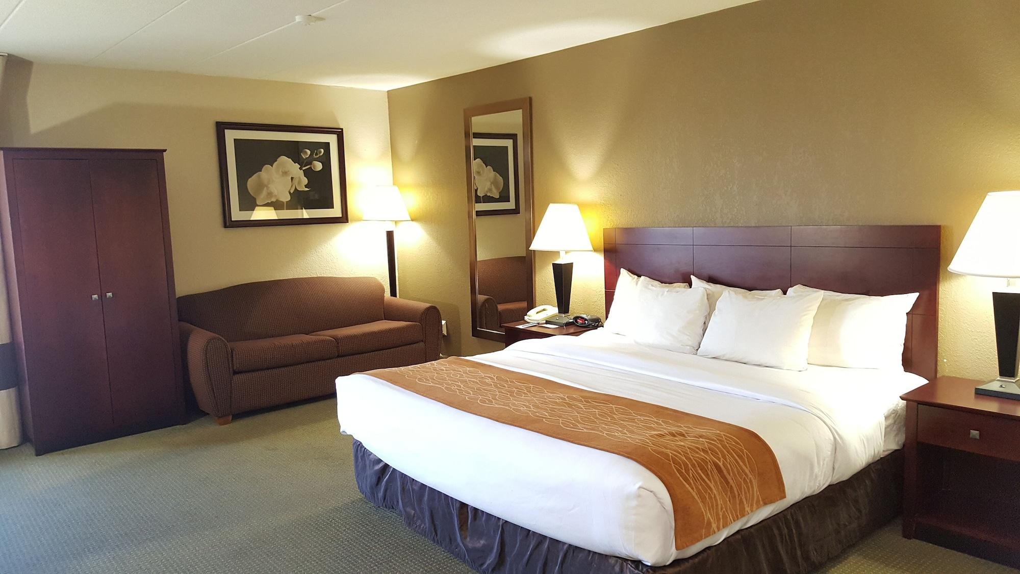 Comfort Inn Northeast Мейсон Екстер'єр фото