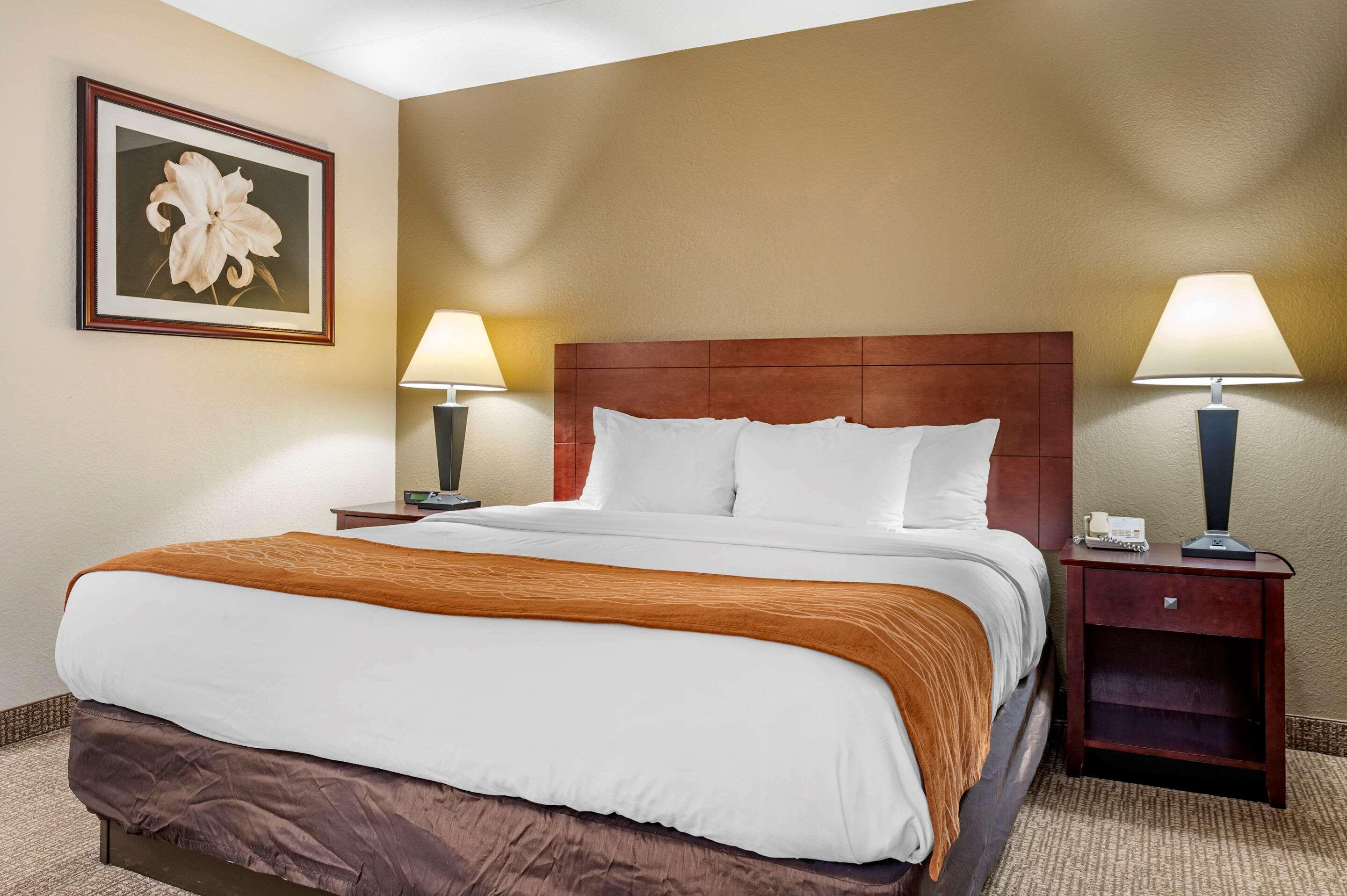 Comfort Inn Northeast Мейсон Екстер'єр фото